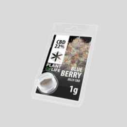Plant Of Life Blueberry 22% CBD Jelly